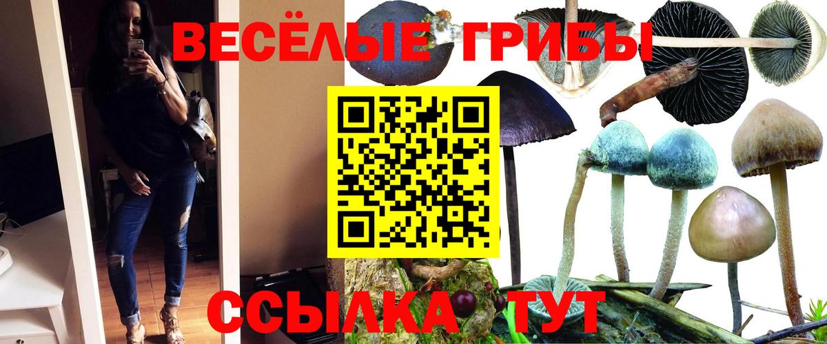 Кстово  Псилоцибиновые грибы Psilocybe  купить наркоту  Вход с VPN 