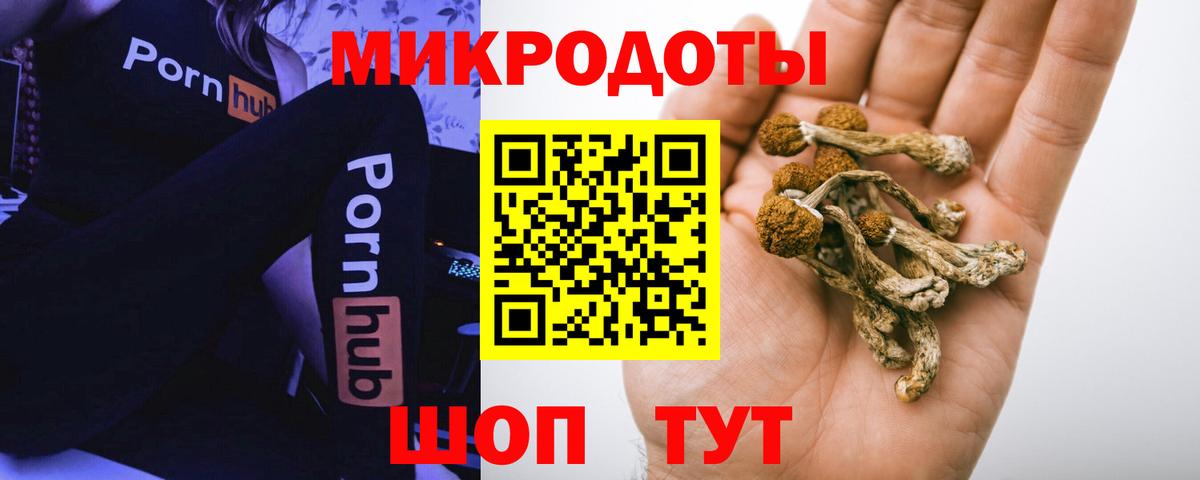 Галлюциногенные грибы Magic Shrooms Кстово